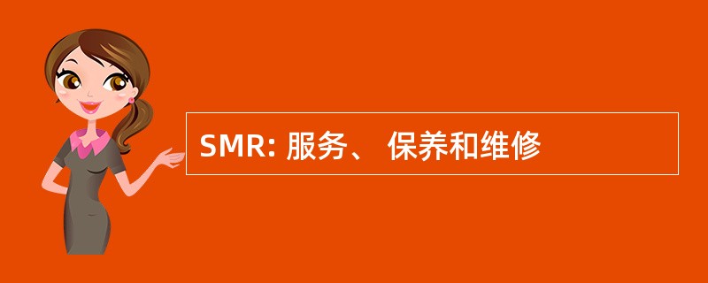 SMR: 服务、 保养和维修