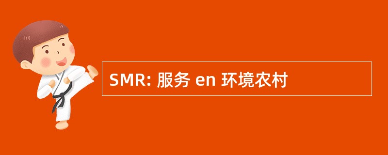 SMR: 服务 en 环境农村