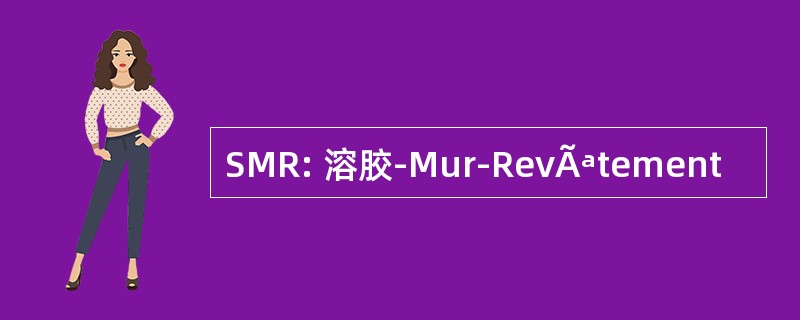 SMR: 溶胶-Mur-RevÃªtement