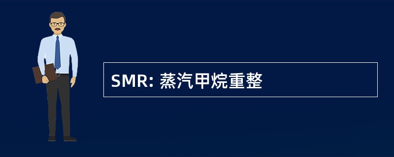 SMR: 蒸汽甲烷重整