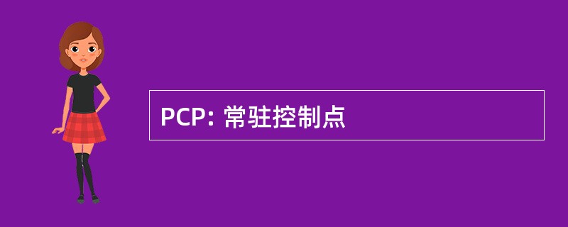 PCP: 常驻控制点