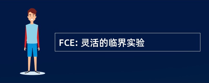 FCE: 灵活的临界实验