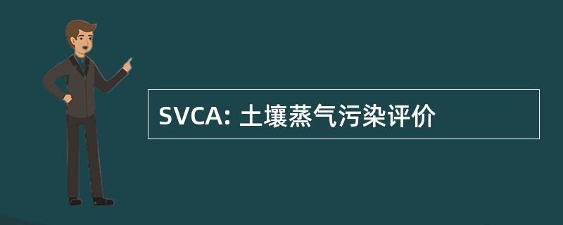 SVCA: 土壤蒸气污染评价