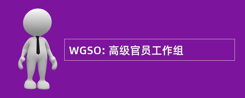 WGSO: 高级官员工作组