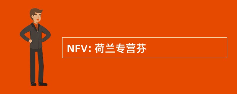 NFV: 荷兰专营芬