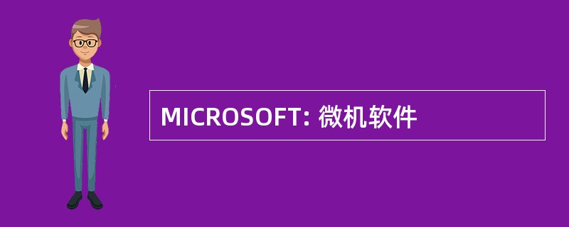 MICROSOFT: 微机软件