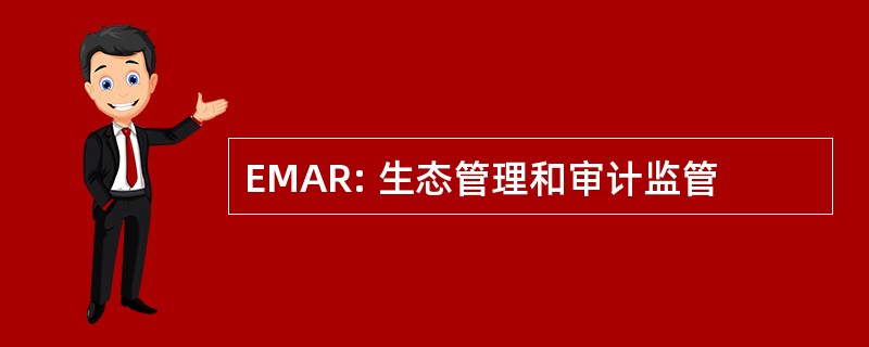 EMAR: 生态管理和审计监管