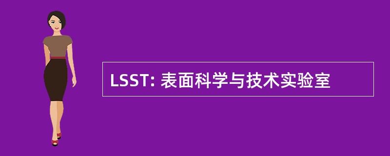 LSST: 表面科学与技术实验室