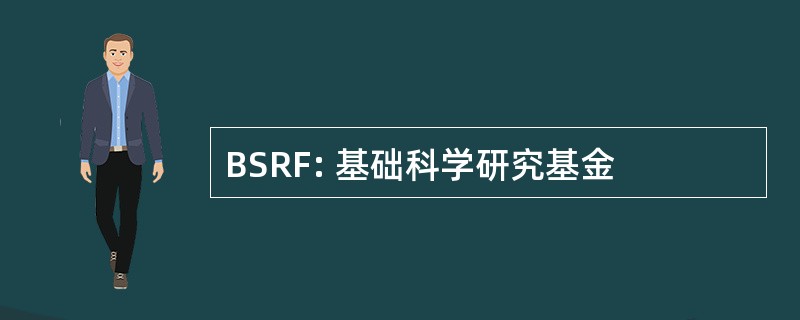 BSRF: 基础科学研究基金