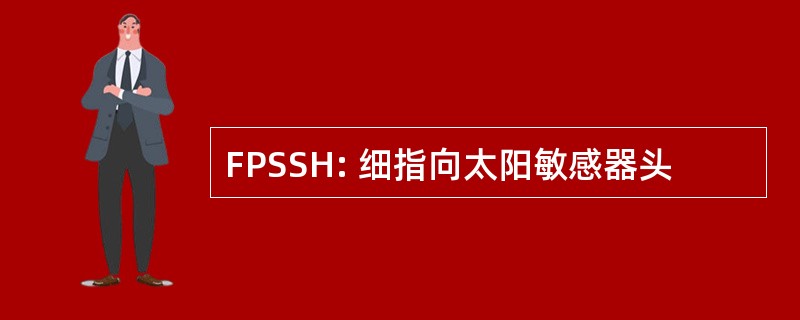 FPSSH: 细指向太阳敏感器头