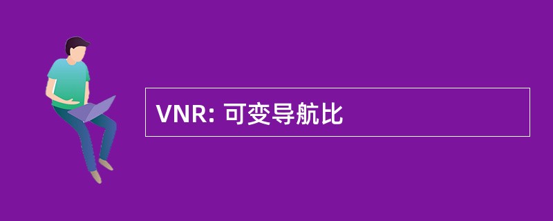 VNR: 可变导航比