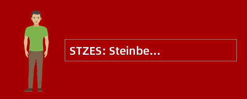 STZES: Steinbeis Transferzentrum