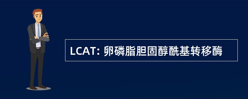 LCAT: 卵磷脂胆固醇酰基转移酶