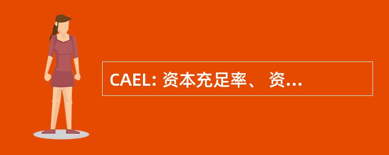 CAEL: 资本充足率、 资产质量、 盈利和流动性