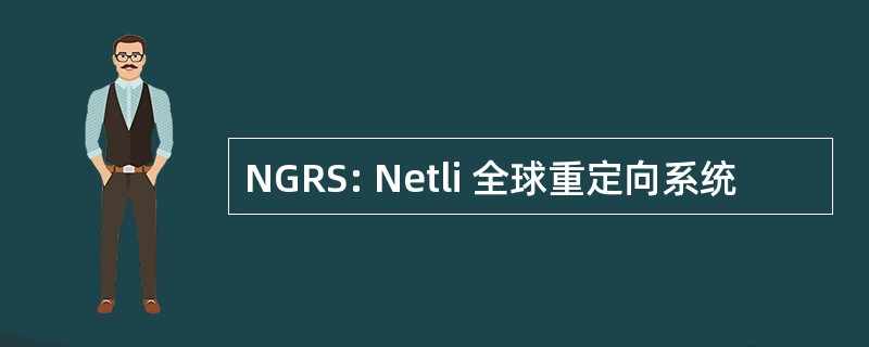 NGRS: Netli 全球重定向系统