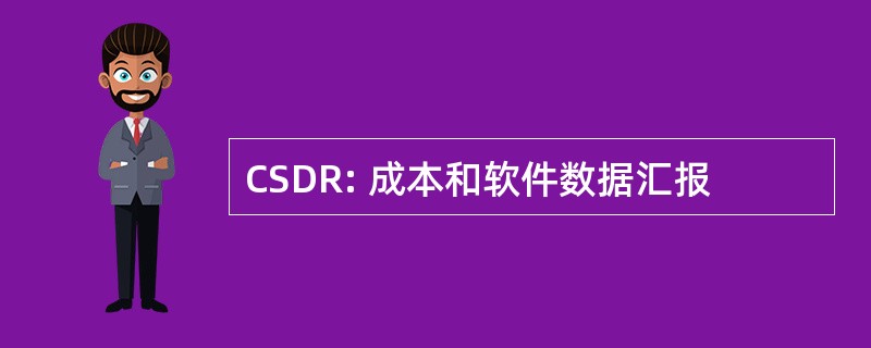 CSDR: 成本和软件数据汇报