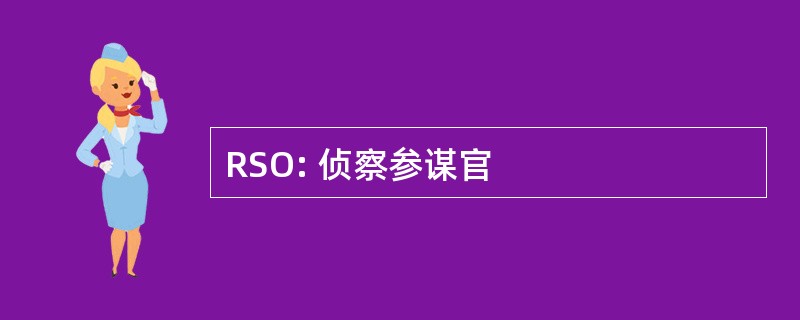 RSO: 侦察参谋官