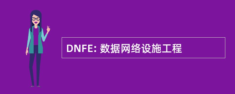 DNFE: 数据网络设施工程