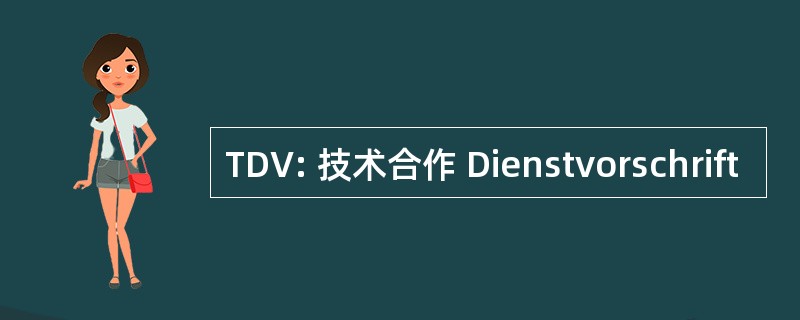 TDV: 技术合作 Dienstvorschrift