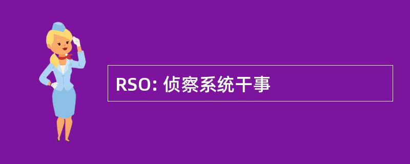 RSO: 侦察系统干事