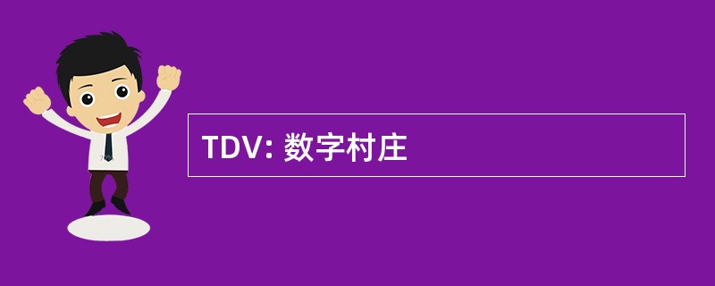 TDV: 数字村庄