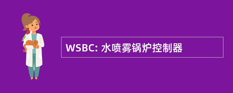 WSBC: 水喷雾锅炉控制器