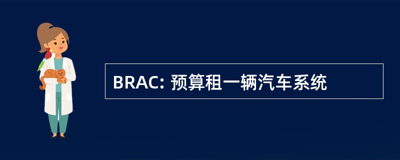 BRAC: 预算租一辆汽车系统