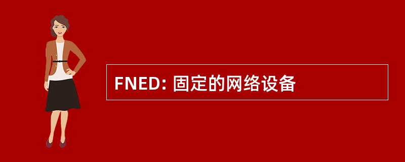 FNED: 固定的网络设备