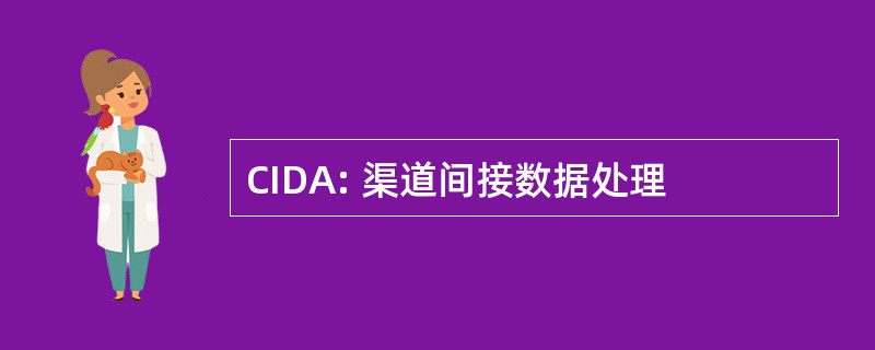 CIDA: 渠道间接数据处理