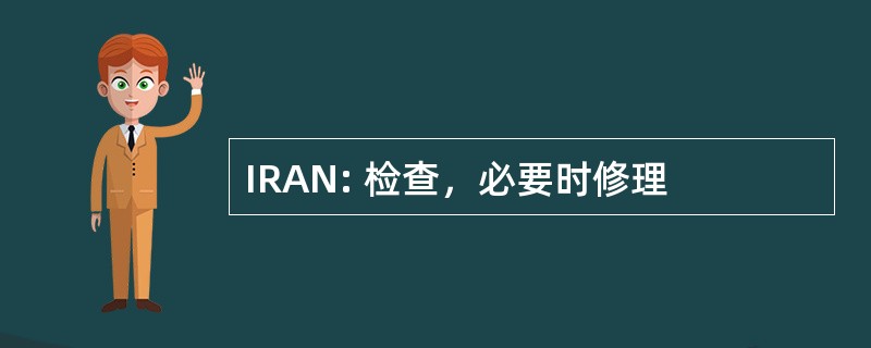 IRAN: 检查，必要时修理