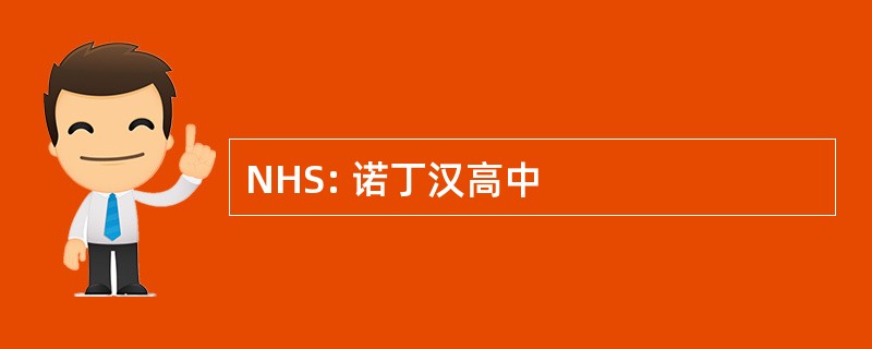 NHS: 诺丁汉高中