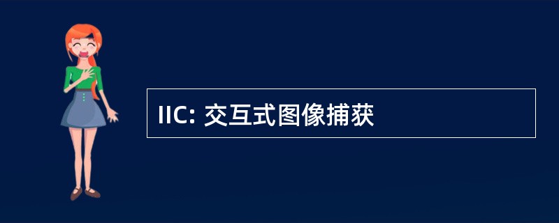 IIC: 交互式图像捕获