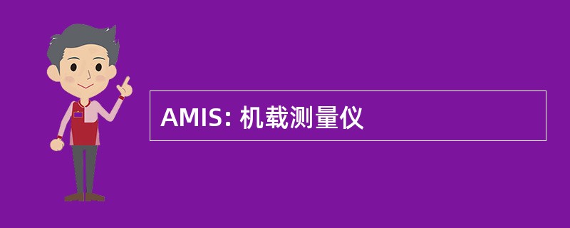 AMIS: 机载测量仪