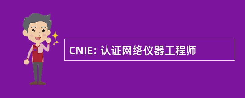 CNIE: 认证网络仪器工程师