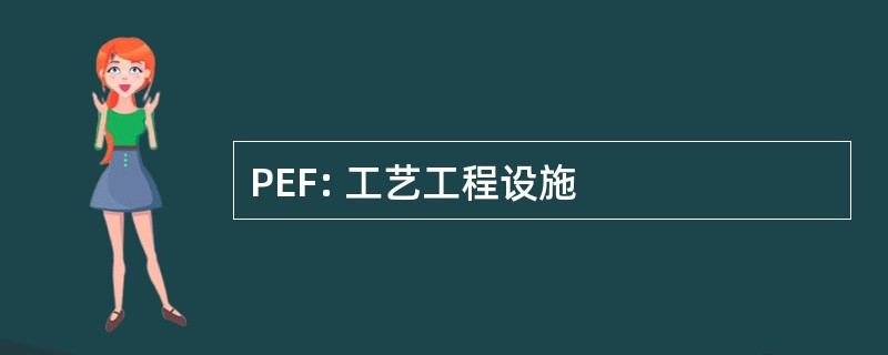 PEF: 工艺工程设施