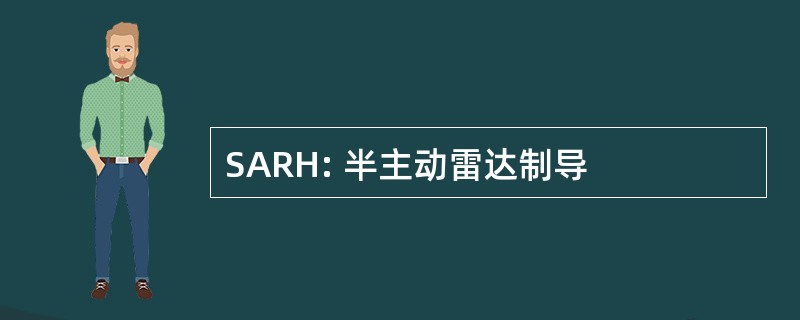 SARH: 半主动雷达制导