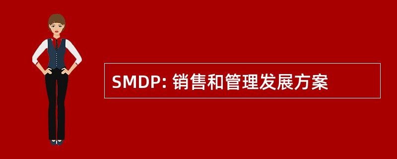 SMDP: 销售和管理发展方案