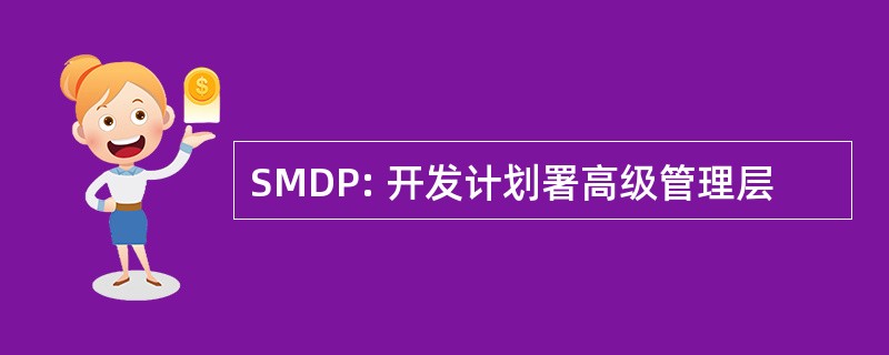 SMDP: 开发计划署高级管理层