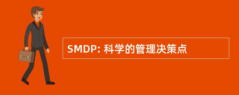 SMDP: 科学的管理决策点