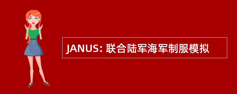 JANUS: 联合陆军海军制服模拟