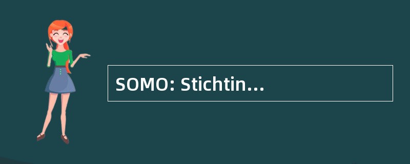 SOMO: Stichting Onderzoek 政治 Ondernemingen