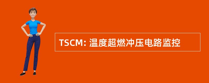 TSCM: 温度超燃冲压电路监控