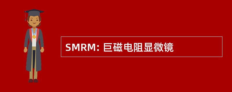 SMRM: 巨磁电阻显微镜