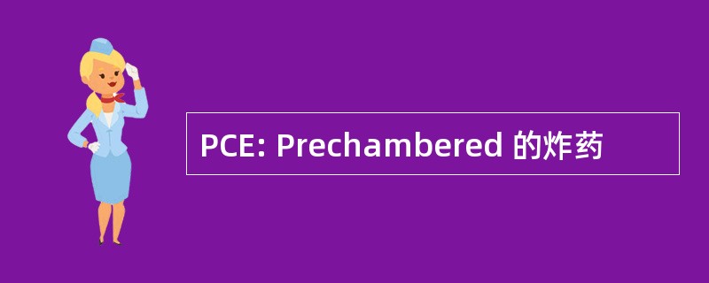 PCE: Prechambered 的炸药