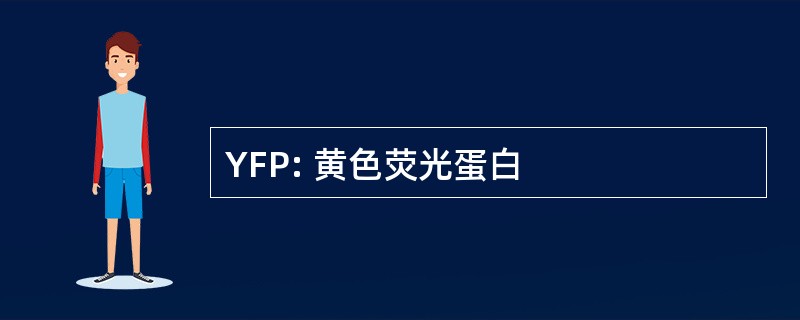 YFP: 黄色荧光蛋白