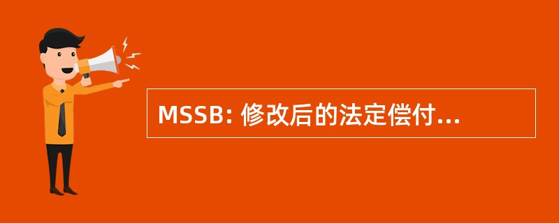 MSSB: 修改后的法定偿付能力的基础