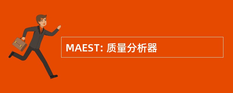 MAEST: 质量分析器