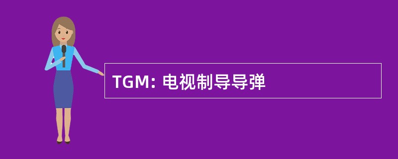 TGM: 电视制导导弹