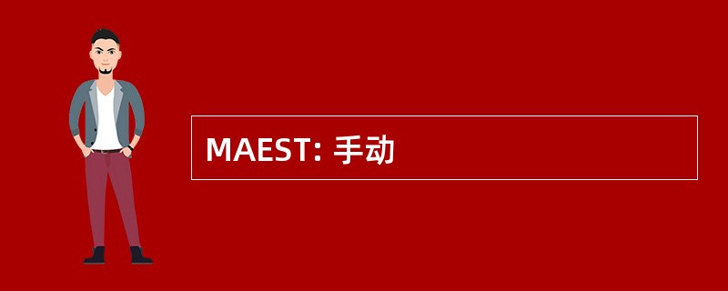 MAEST: 手动