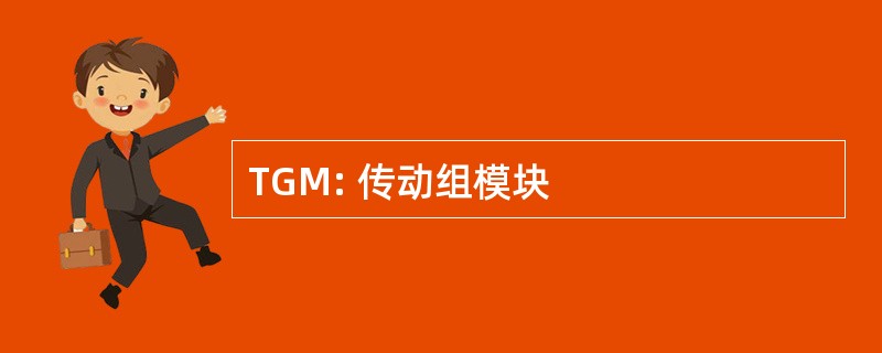 TGM: 传动组模块